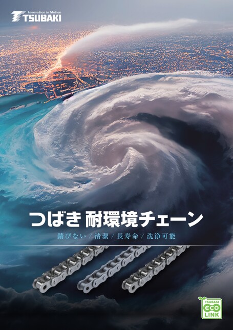 Environmentally resistant chain