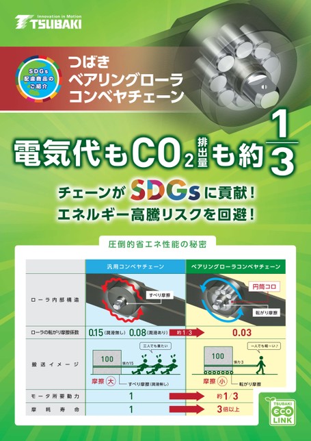 SDGs Contribution Bearing Roller Conveyor Chain