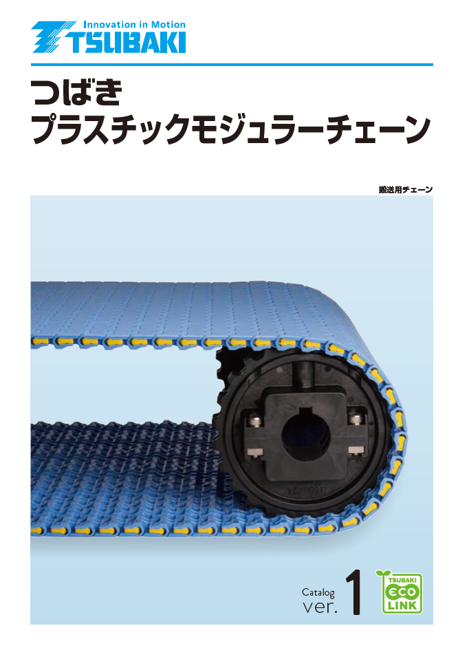 Plastic modular chain