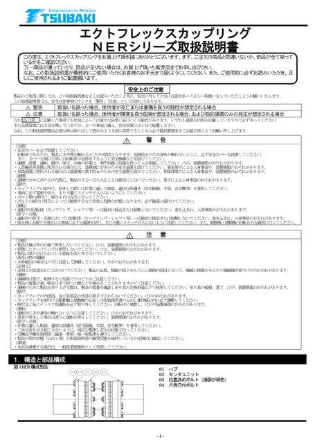 NER series