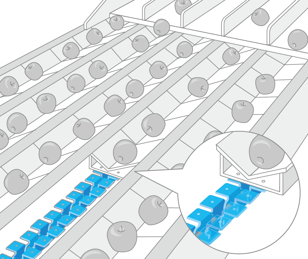 Fruit sorting machine
