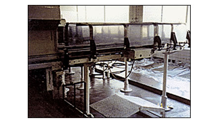 Photo of an example of adoption