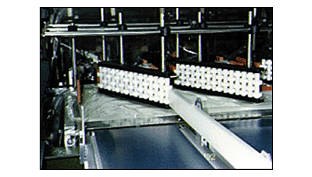 Photo of an example of adoption