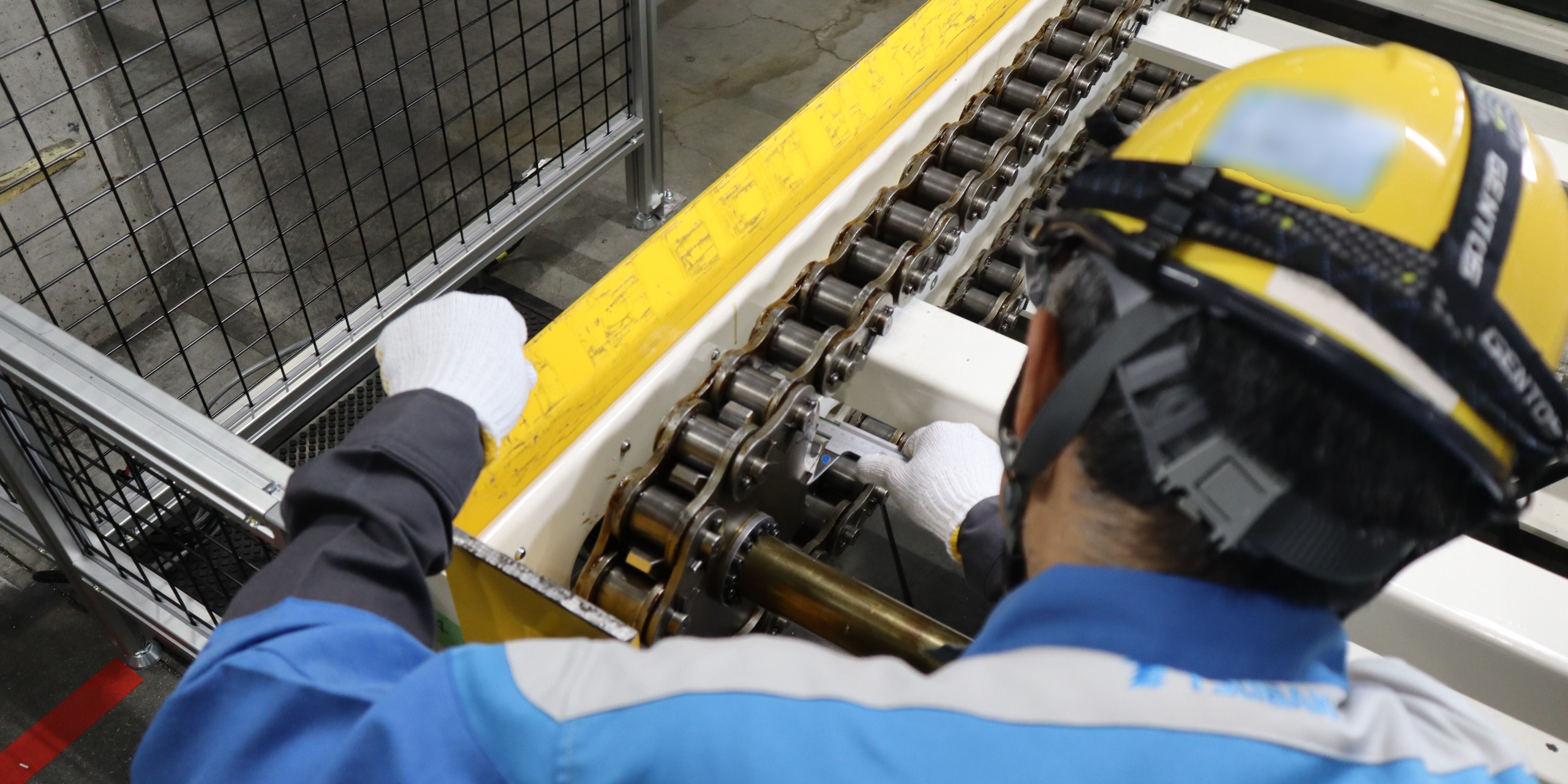 Inspection and diagnosis