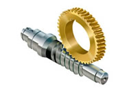 worm gear